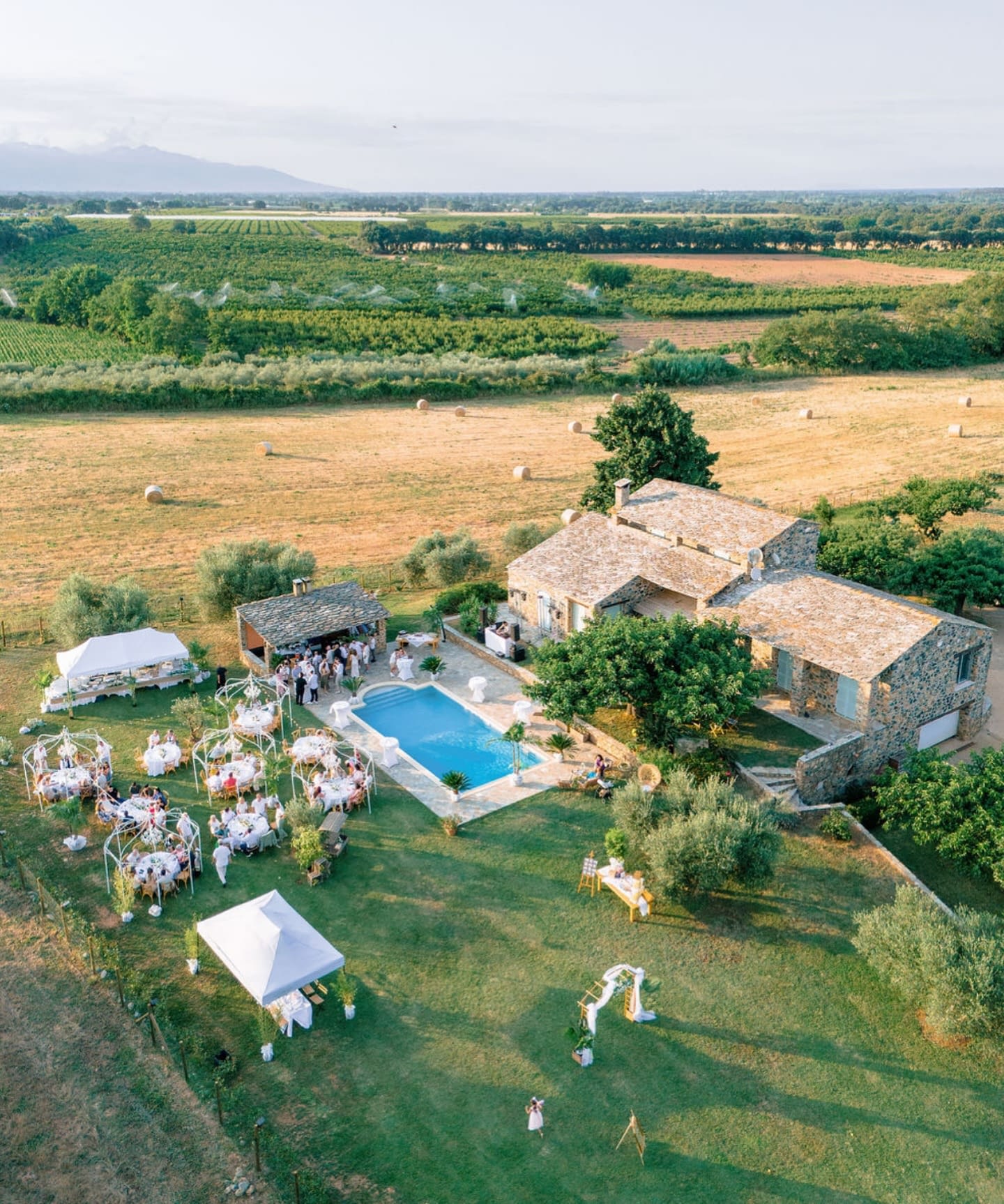Domaine L'alivetu