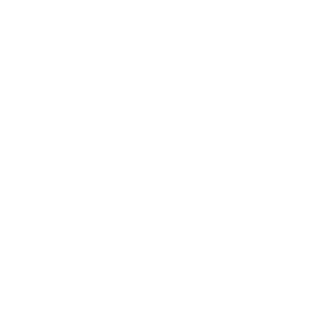 L'Alivetti