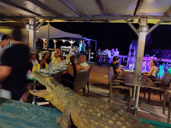 Le Crocodile Solaro